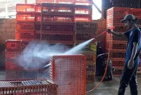 PT TIMAH perkuat dukungan UMKM lewat modal, pelatihan, dan pameran untuk dorong usaha naik kelas dan berkembang luas. Foto dok PT Timah