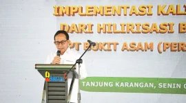 PT Bukit Asam menggelar panen raya program kalium humat di Muara Enim guna meningkatkan hasil pertanian dan pendapatan petani. Foto dok