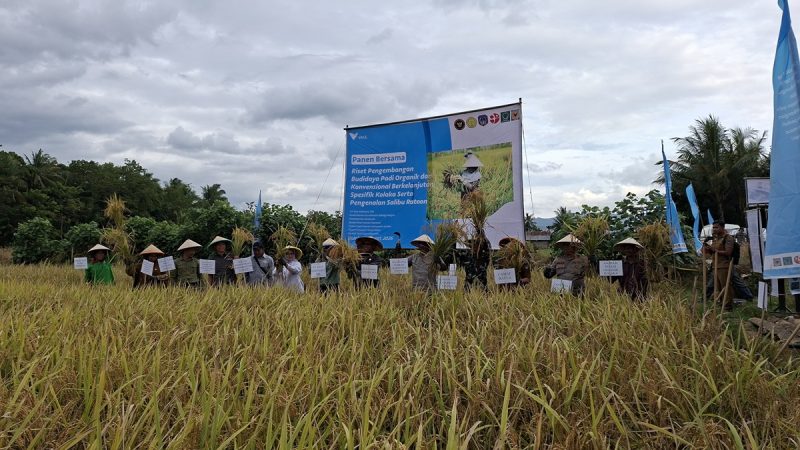 Panen raya PT Vale. Foto dok