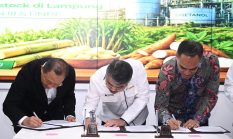 Pertamina Perkuat Kolaborasi Pengembangan Bioetanol Domestik