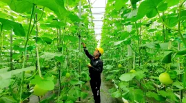 PT Pertamina (Persero) terus mengoptimalkan pengembangan energi panas bumi (geothermal)