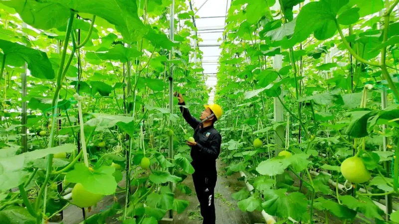 PT Pertamina (Persero) terus mengoptimalkan pengembangan energi panas bumi (geothermal)