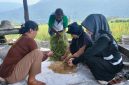 Melihat Program Aliksa SRI dari Organik Vale IGP Morowali