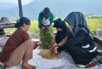 Melihat Program Aliksa SRI dari Organik Vale IGP Morowali