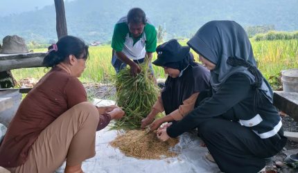 Melihat Program Aliksa SRI dari Organik Vale IGP Morowali