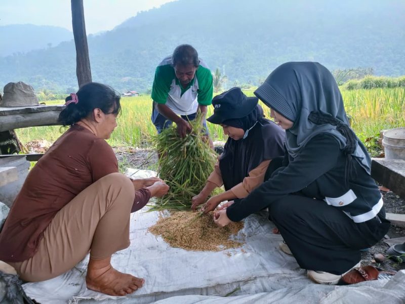 Melihat Program Aliksa SRI dari Organik Vale IGP Morowali