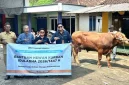 Grup MIND ID menyalurkan 1.735 hewan kurban ke 20 wilayah operasional dari Sumatera hingga Papua.