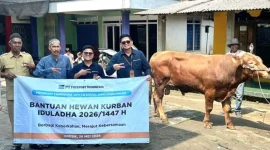 Grup MIND ID menyalurkan 1.735 hewan kurban ke 20 wilayah operasional dari Sumatera hingga Papua.