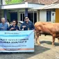 Grup MIND ID menyalurkan 1.735 hewan kurban ke 20 wilayah operasional dari Sumatera hingga Papua.