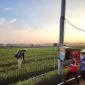 Kementerian ESDM memperkuat kerja sama dengan pemda untuk mempercepat akses listrik desa di berbagai wilayah.